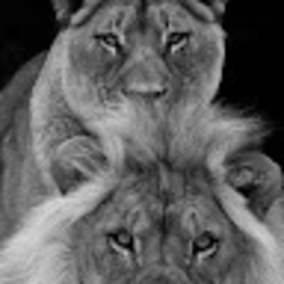 Meet your Posher, Allan - Picture 1 of 1